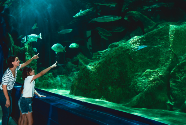 Woman and children at the aquarium