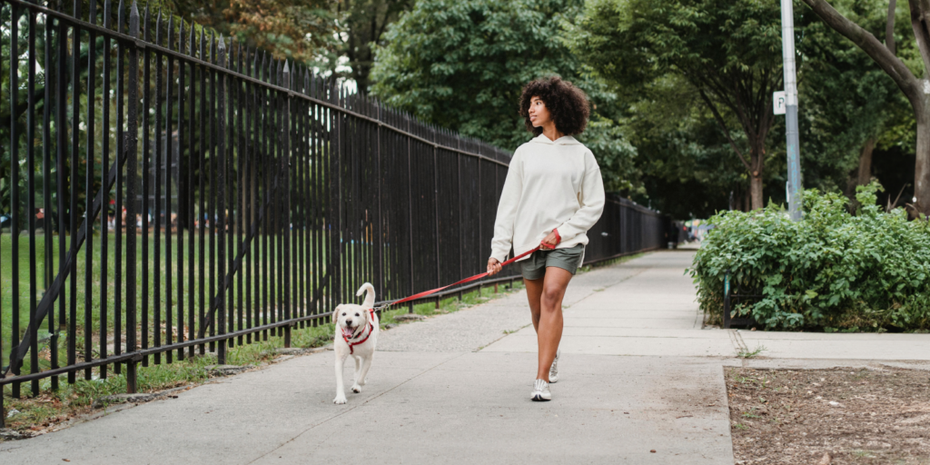 Woman walking a dog