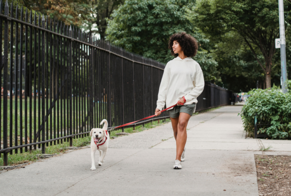 Woman walking a dog