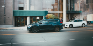 car transporting a christmas tree