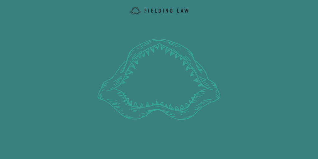 Teal background with Fielding Law shark jaw icon in the middle