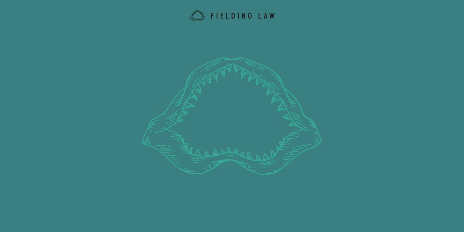 How Is Fielding Law Different From Other Firms?