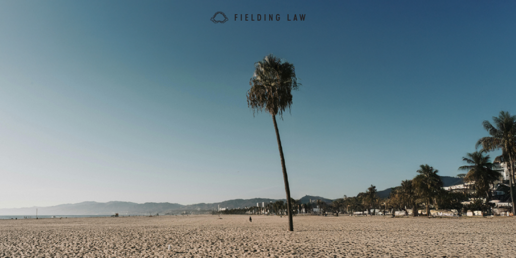 California Beach with a palm tree and blue sky