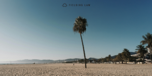 California Beach with a palm tree and blue sky