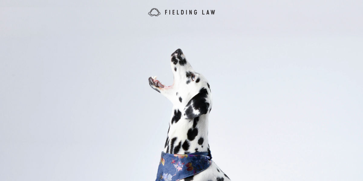 Dog Bite Injuries: Frequently Asked Questions