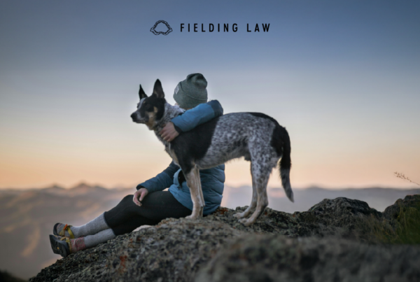 a person sitting on a cliff with a dog standing next to them.