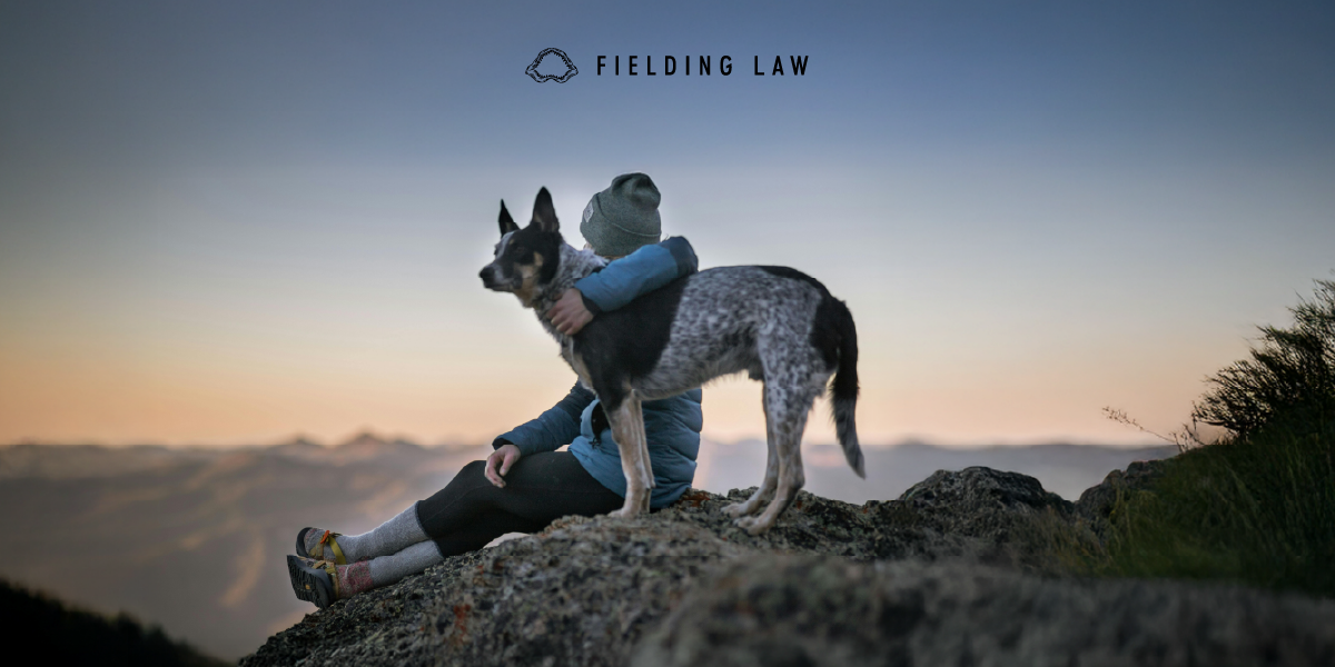 Bitten? Know California’s Dog Bite Law