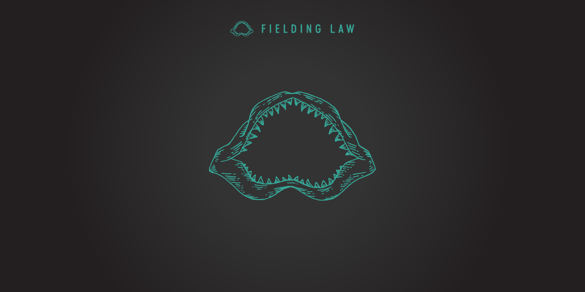 Mentorship That Builds Future Lawyers