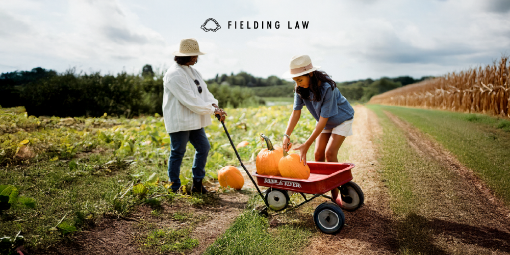 Two people in a pumpkin patch gathering pumpkins into a wagon