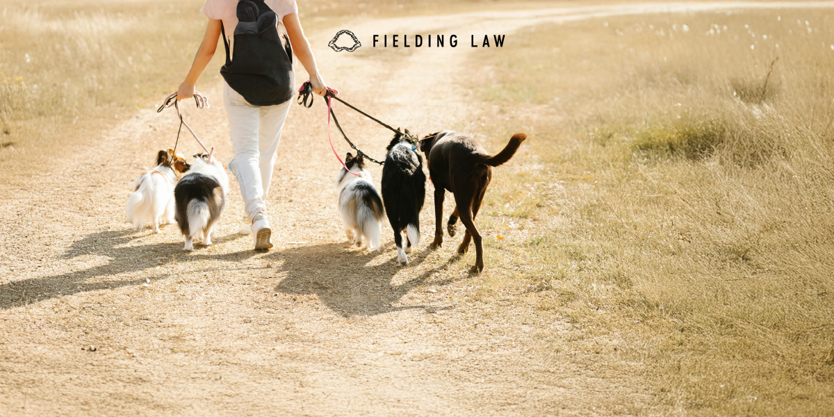 Who Is Liable for a Dog Bite When the Dog Is With a Caregiver?