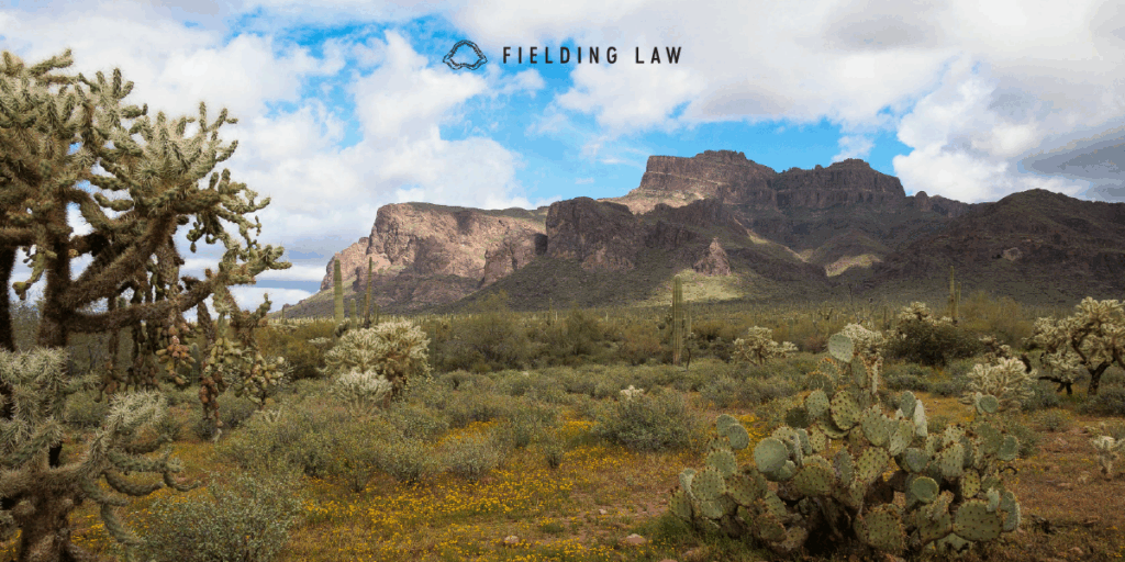 Arizona Desert