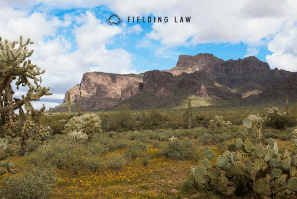 Arizona Desert